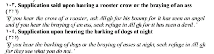 Hisn Al Muslim - Images - 103 Animals