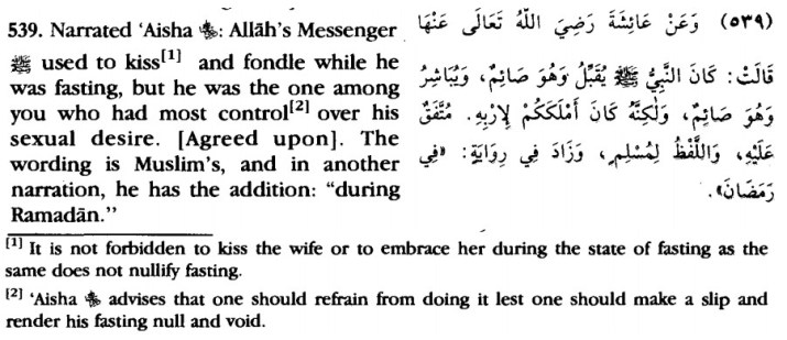 Bulugh al-Marâm | Dr. Saleh as Saleh [Audio|En]