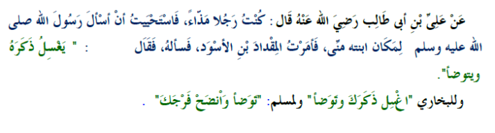 Al-Madhee (Prostatic Fluid) and the Like - Umdatul Ahkaam